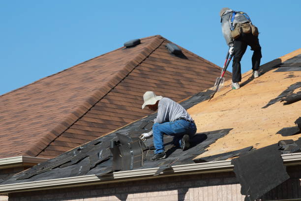 Best Roof Ventilation Installation  in Clinton, WI